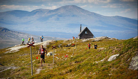 fjällmaran
